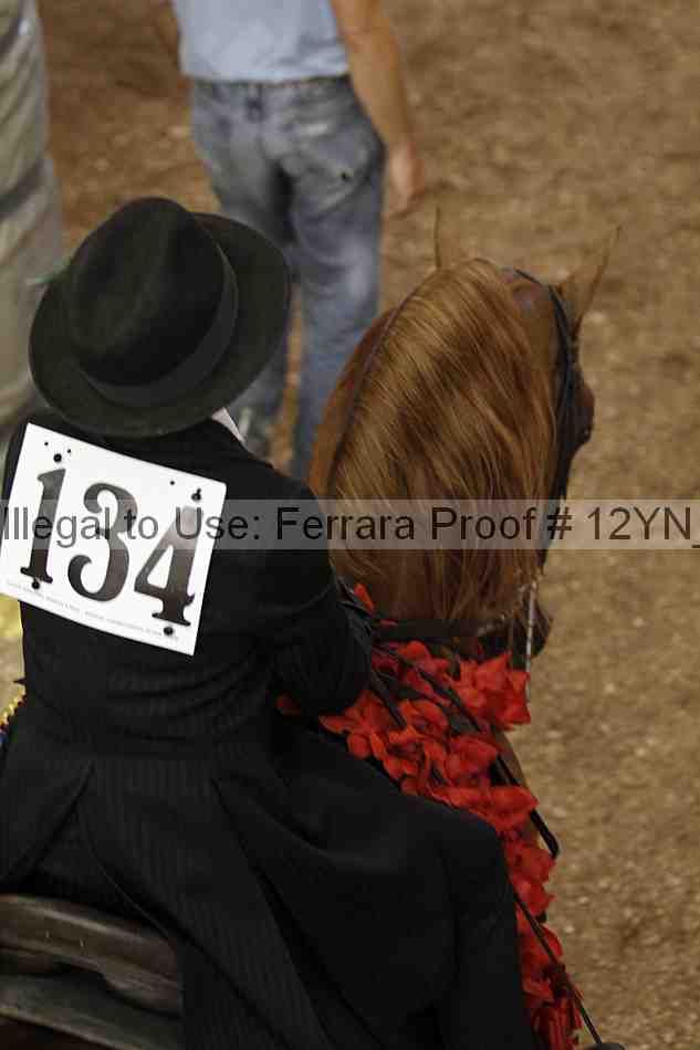 Proof 12yn_04542