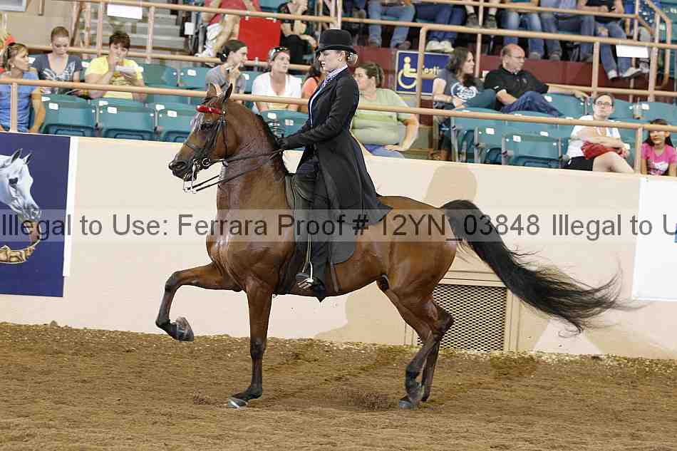 Proof 12yn_03848
