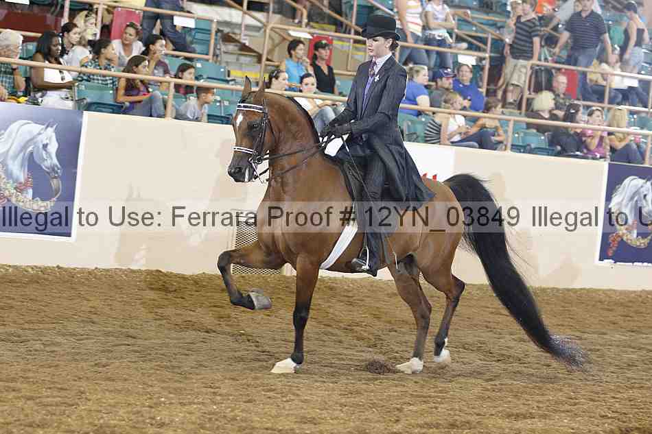 Proof 12yn_03849
