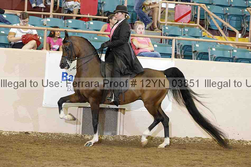 Proof 12yn_03851