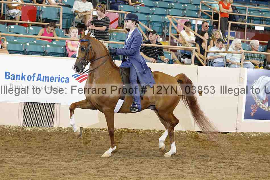 Proof 12yn_03853
