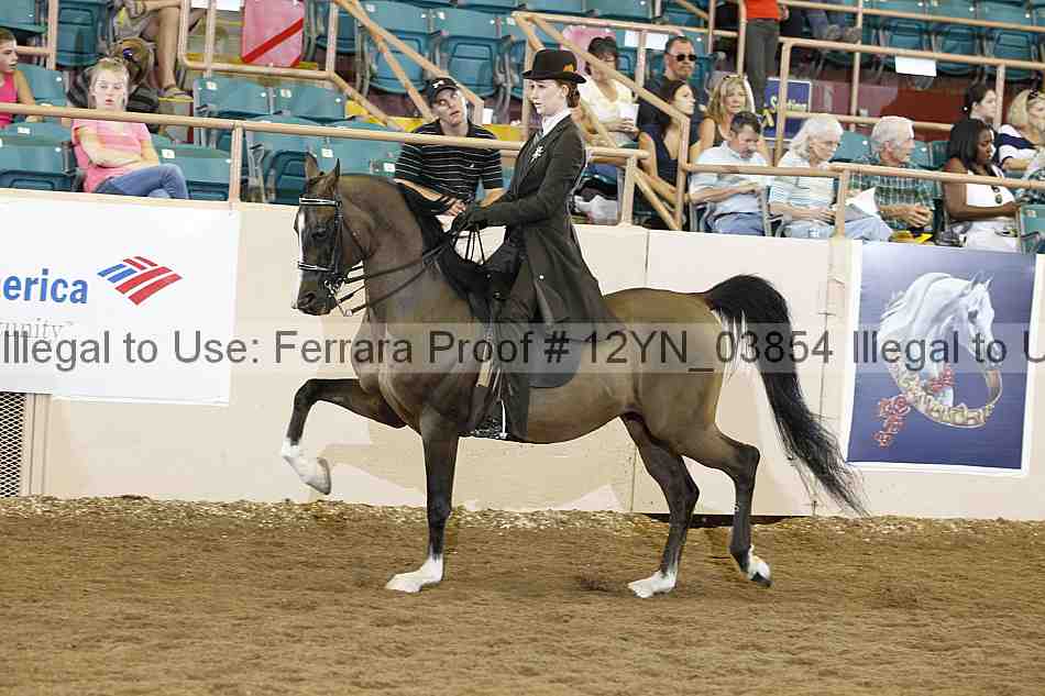Proof 12yn_03854