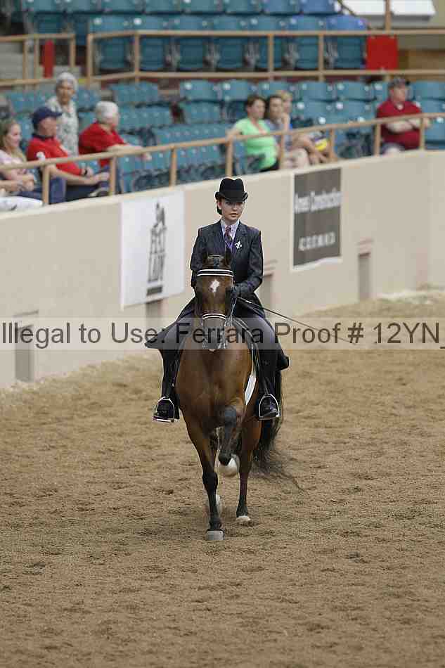 Proof 12yn_03855