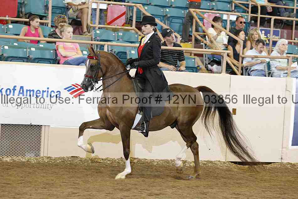 Proof 12yn_03856