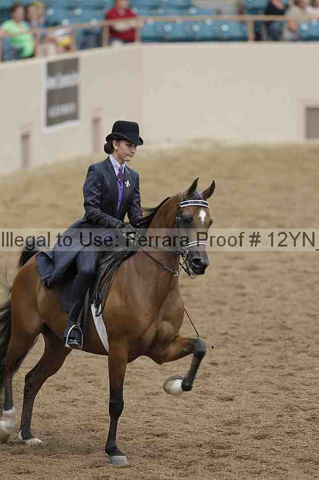 Proof 12yn_03857