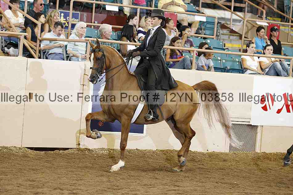 Proof 12yn_03858
