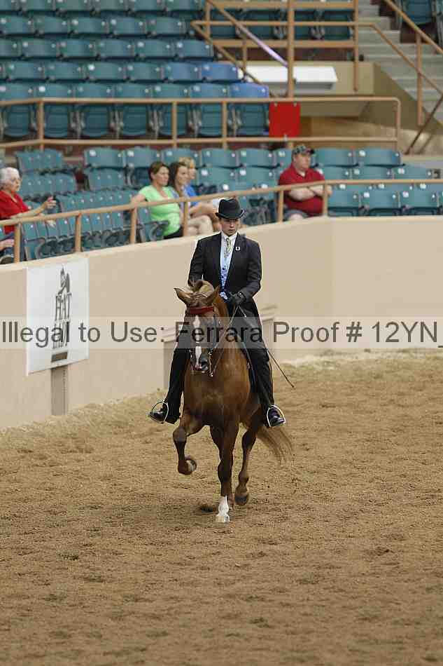 Proof 12yn_03859