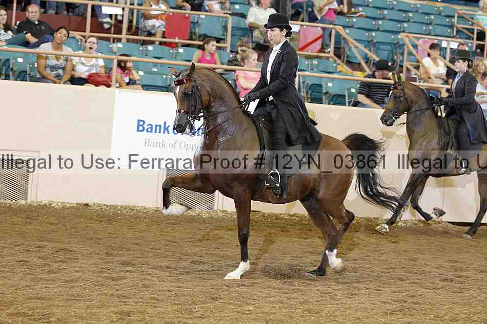 Proof 12yn_03861