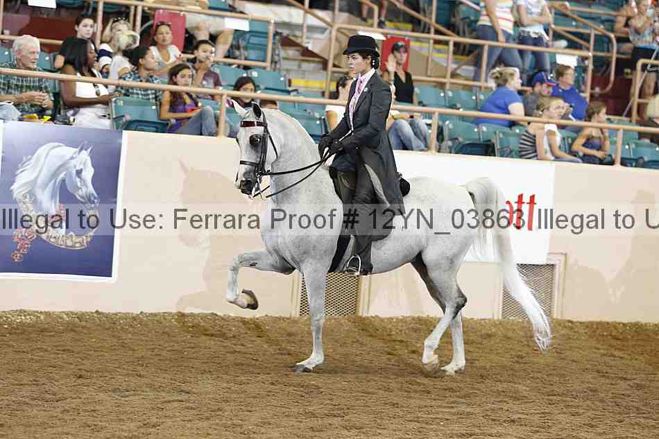 Proof 12yn_03863