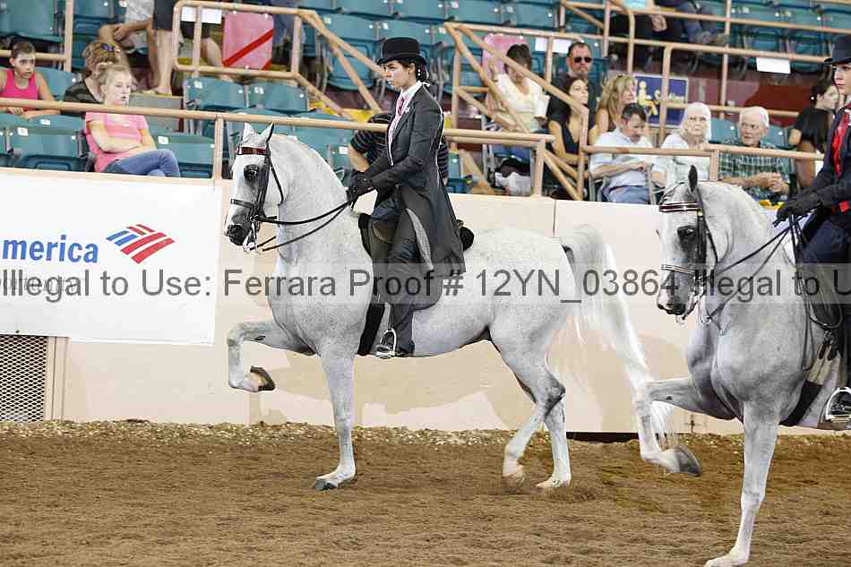 Proof 12yn_03864