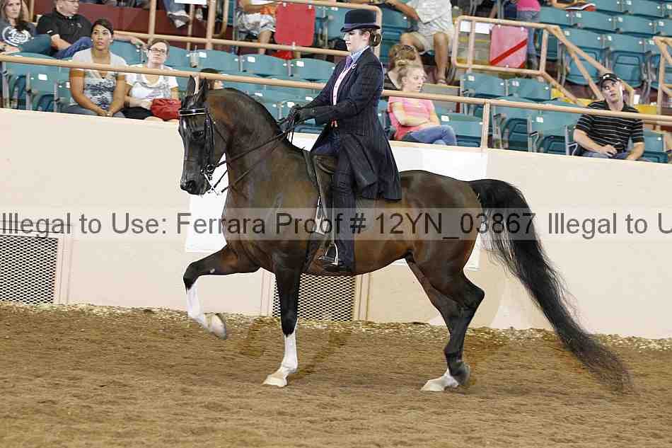Proof 12yn_03867