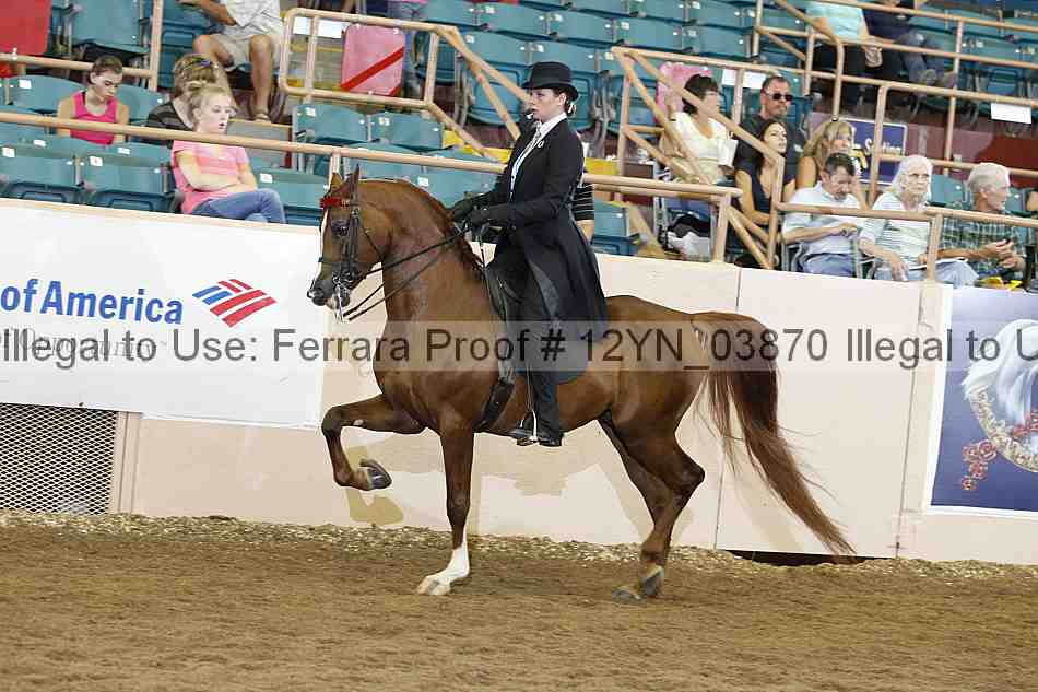 Proof 12yn_03870