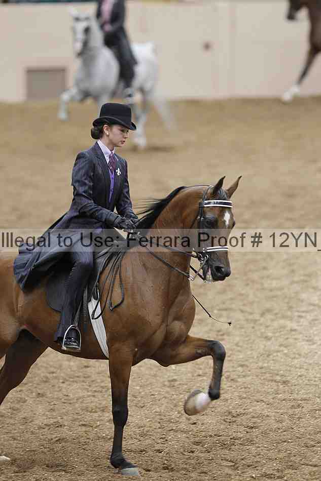 Proof 12yn_03871