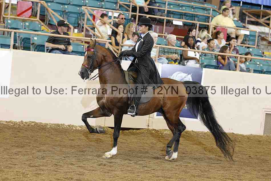Proof 12yn_03875