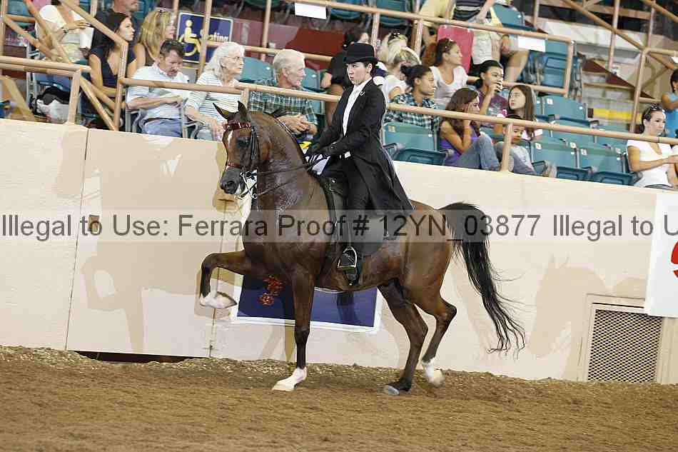 Proof 12yn_03877
