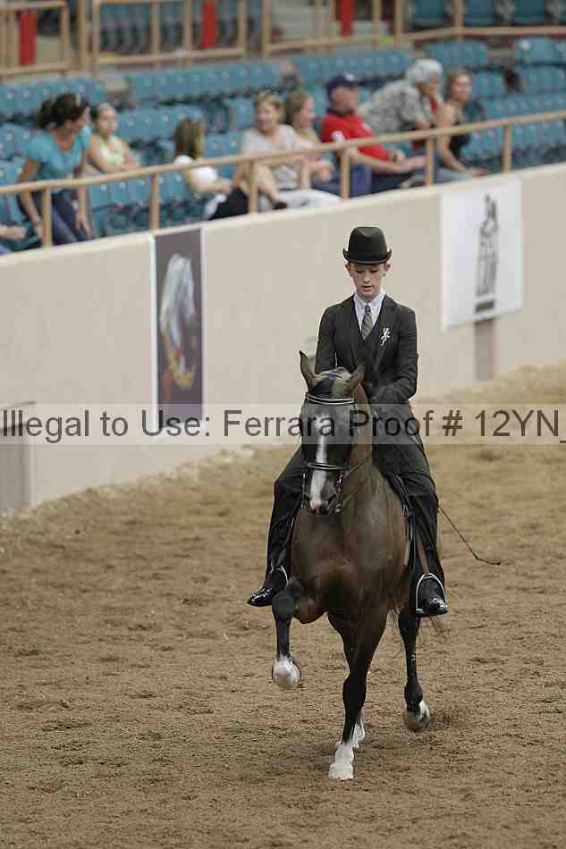 Proof 12yn_03878