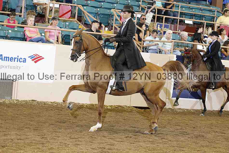 Proof 12yn_03880