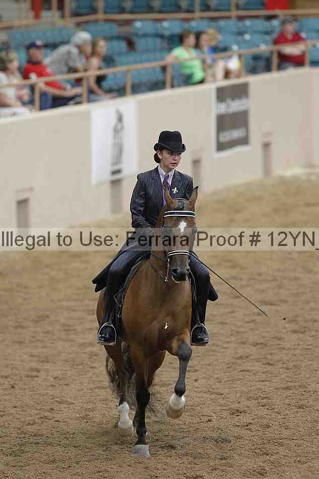 Proof 12yn_03882
