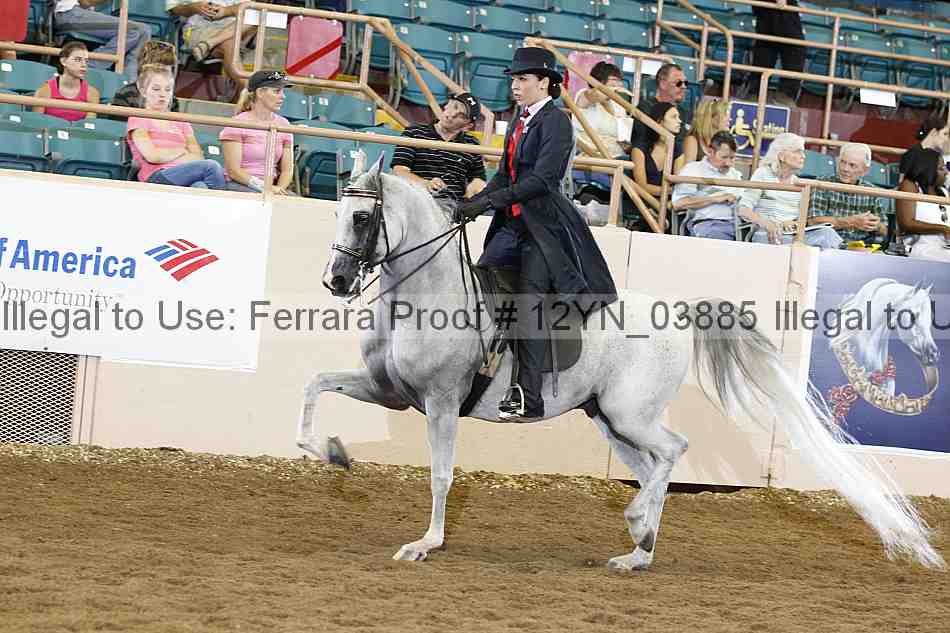 Proof 12yn_03885
