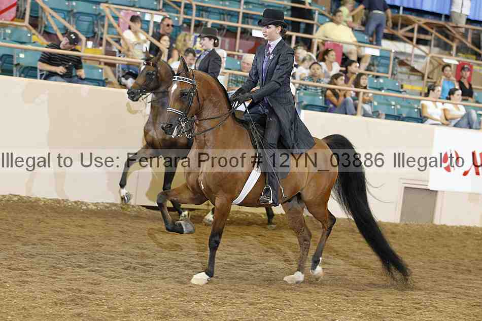 Proof 12yn_03886