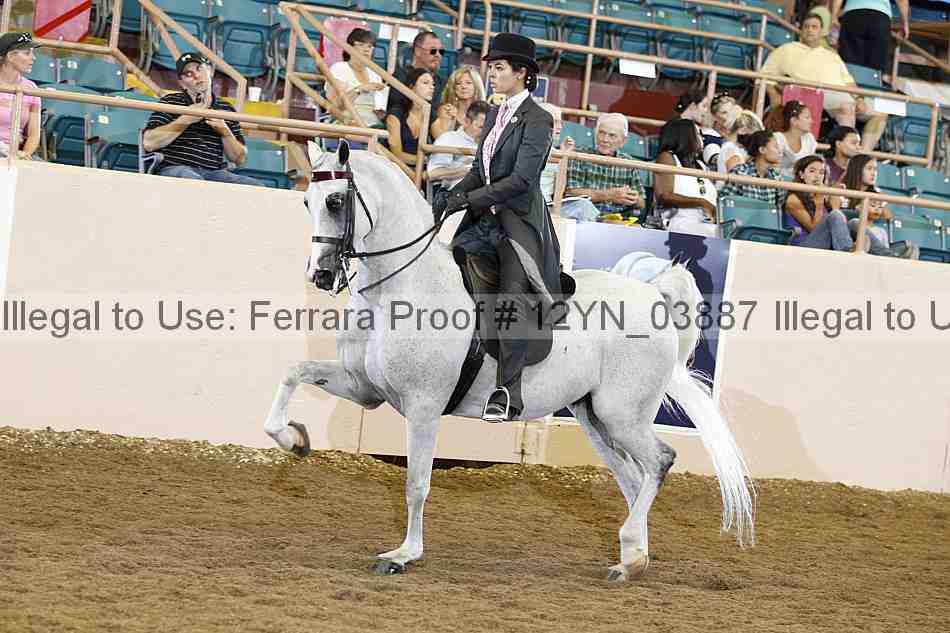 Proof 12yn_03887