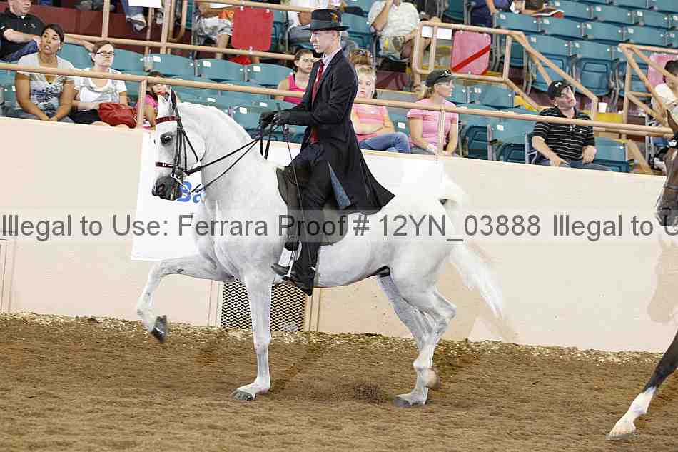 Proof 12yn_03888