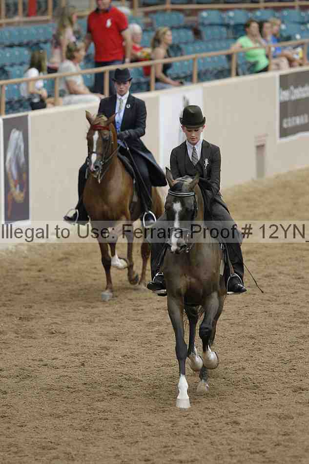 Proof 12yn_03894