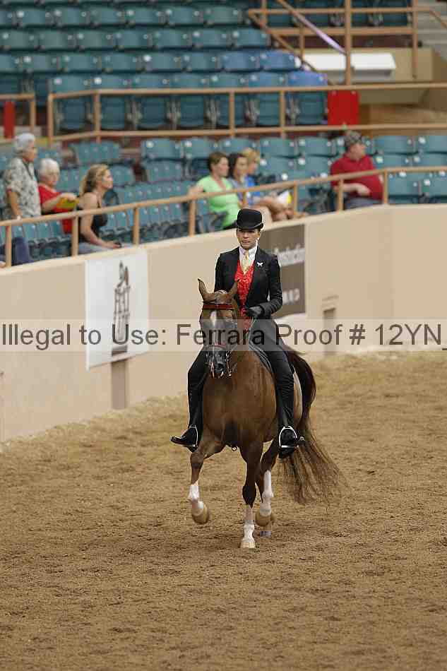 Proof 12yn_03897