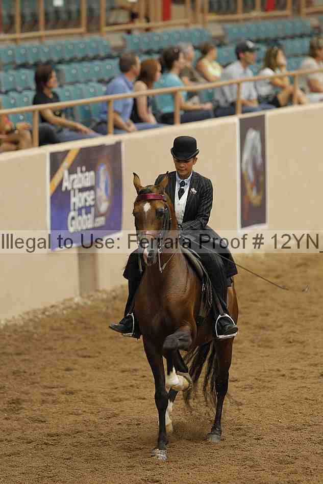 Proof 12yn_03901