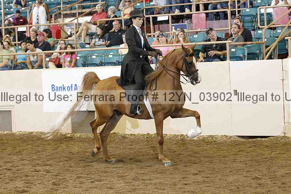 Proof 12yn_03902