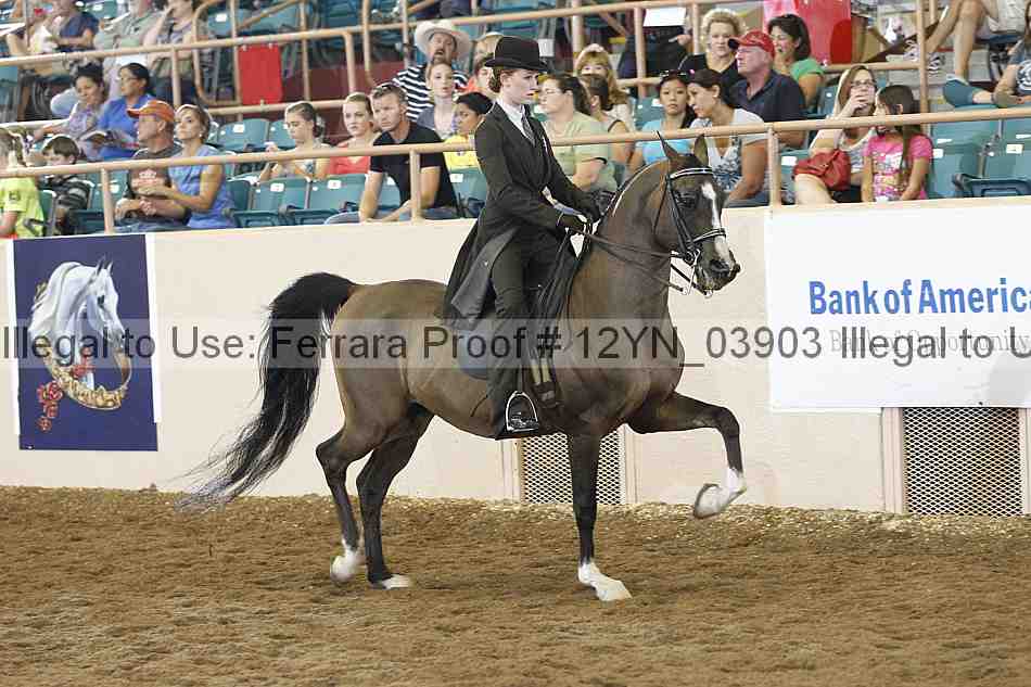 Proof 12yn_03903
