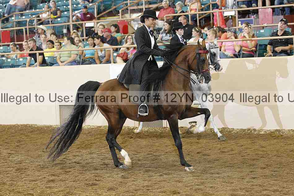 Proof 12yn_03904