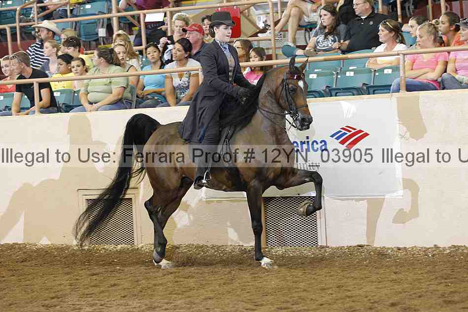 Proof 12yn_03905