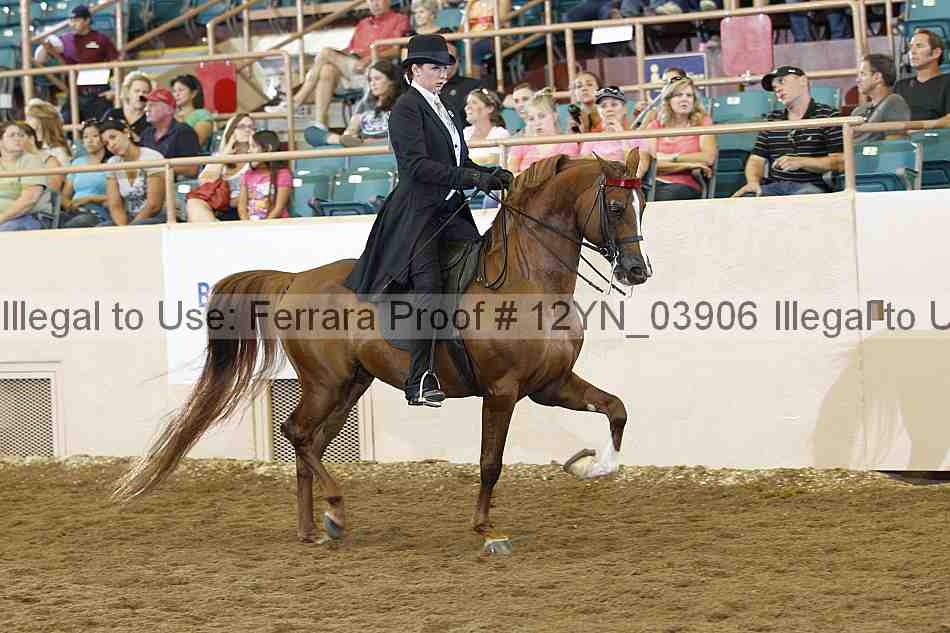 Proof 12yn_03906