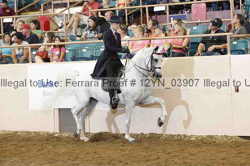 Proof 12yn_03907