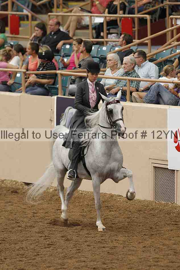 Proof 12yn_03908