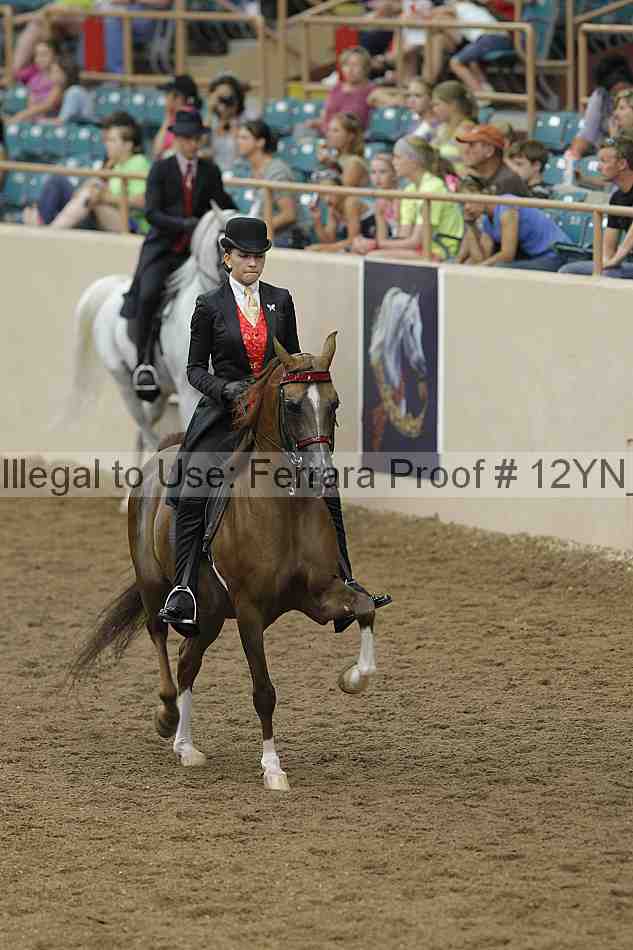 Proof 12yn_03909