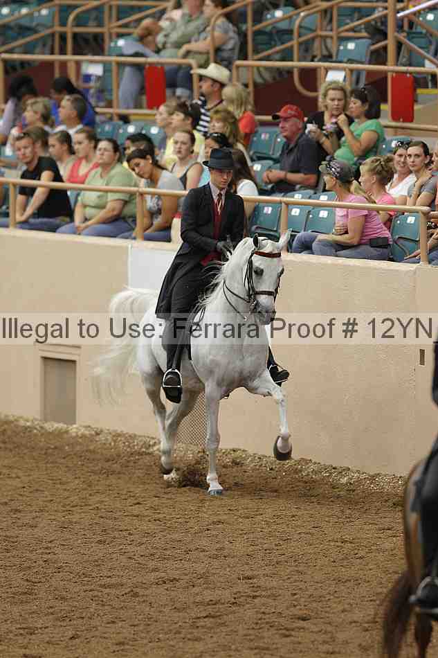 Proof 12yn_03910