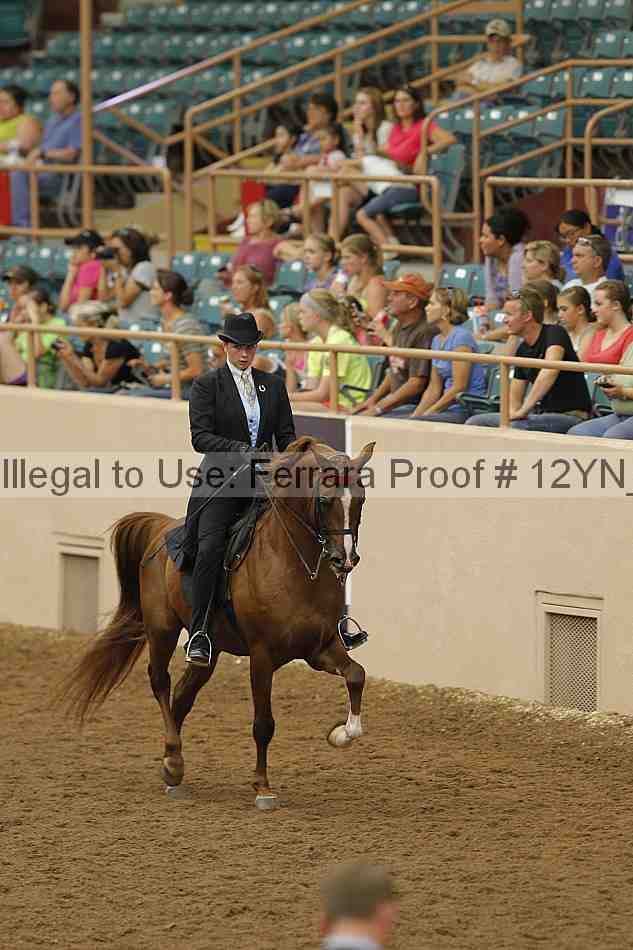Proof 12yn_03916