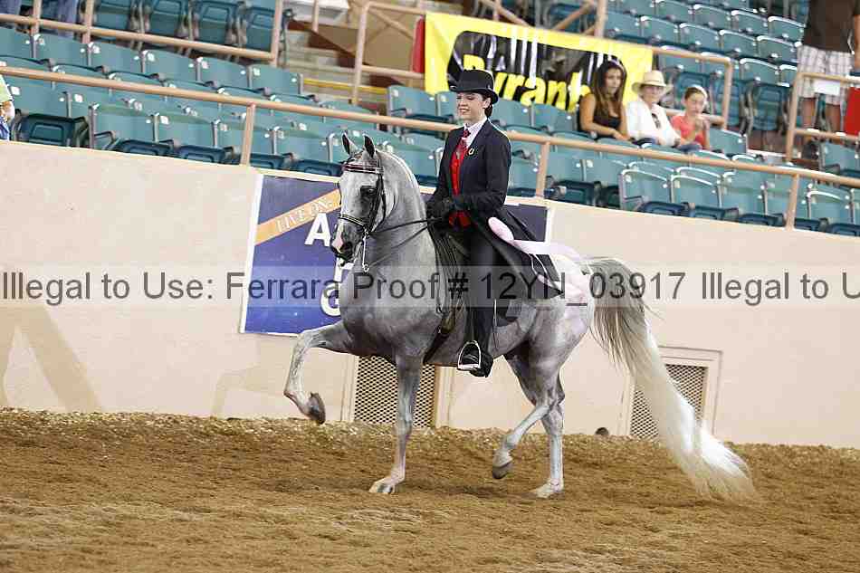 Proof 12yn_03917