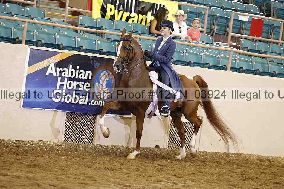 Proof 12yn_03924