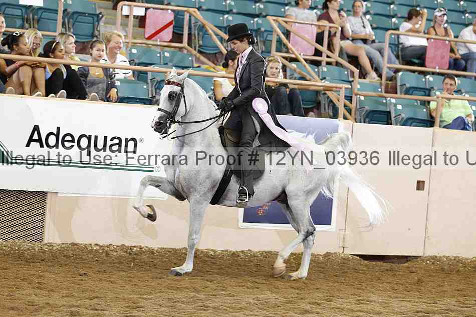 Proof 12yn_03936