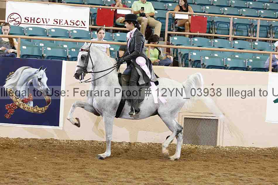 Proof 12yn_03938