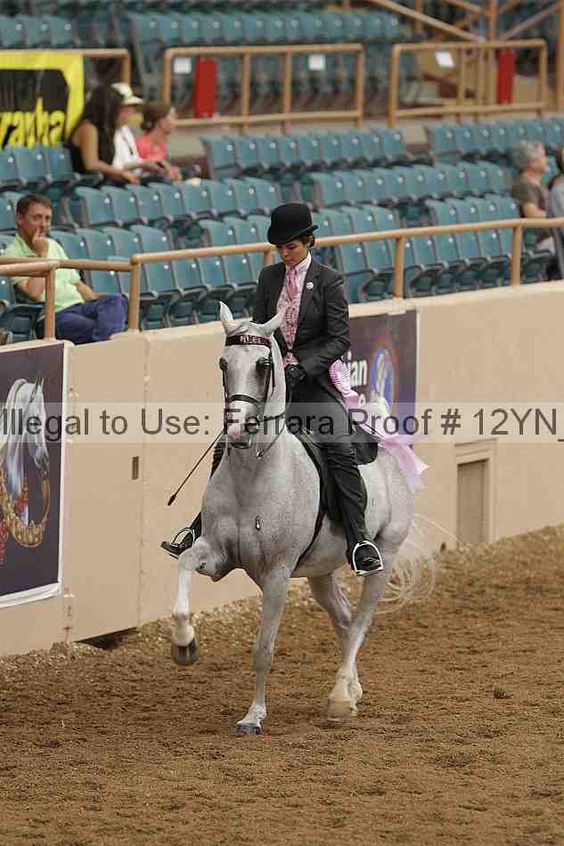 Proof 12yn_03943