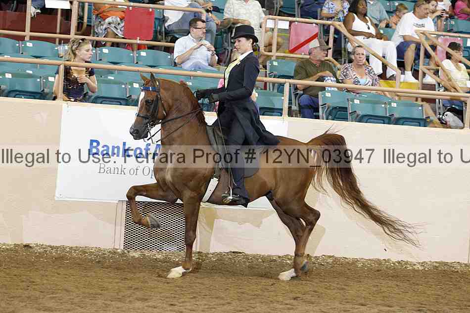 Proof 12yn_03947