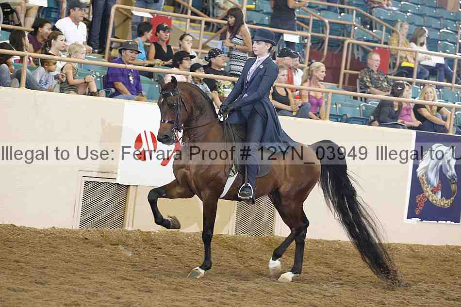 Proof 12yn_03949