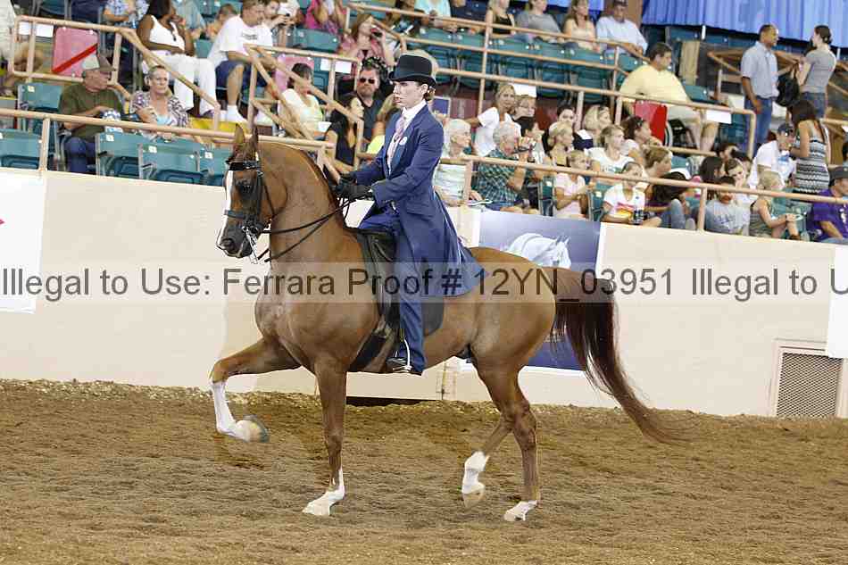 Proof 12yn_03951
