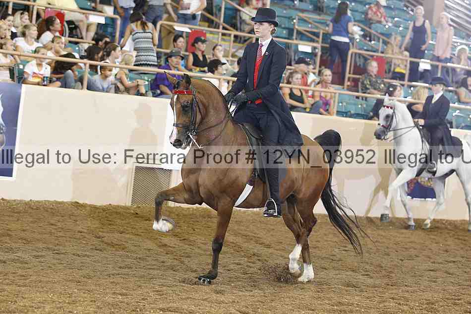 Proof 12yn_03952
