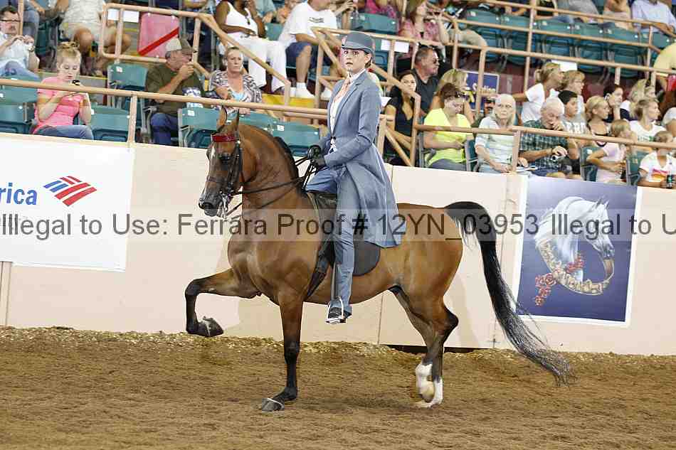 Proof 12yn_03953
