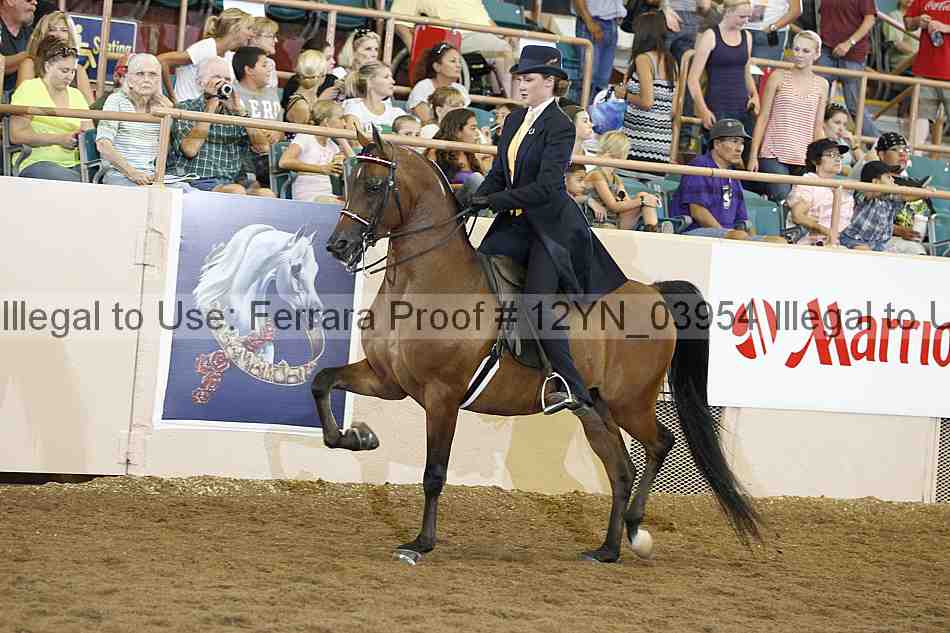 Proof 12yn_03954
